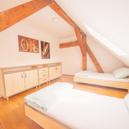 Hotel Daviduv Mlyn Staré Těchanovice Zewnętrze zdjęcie
