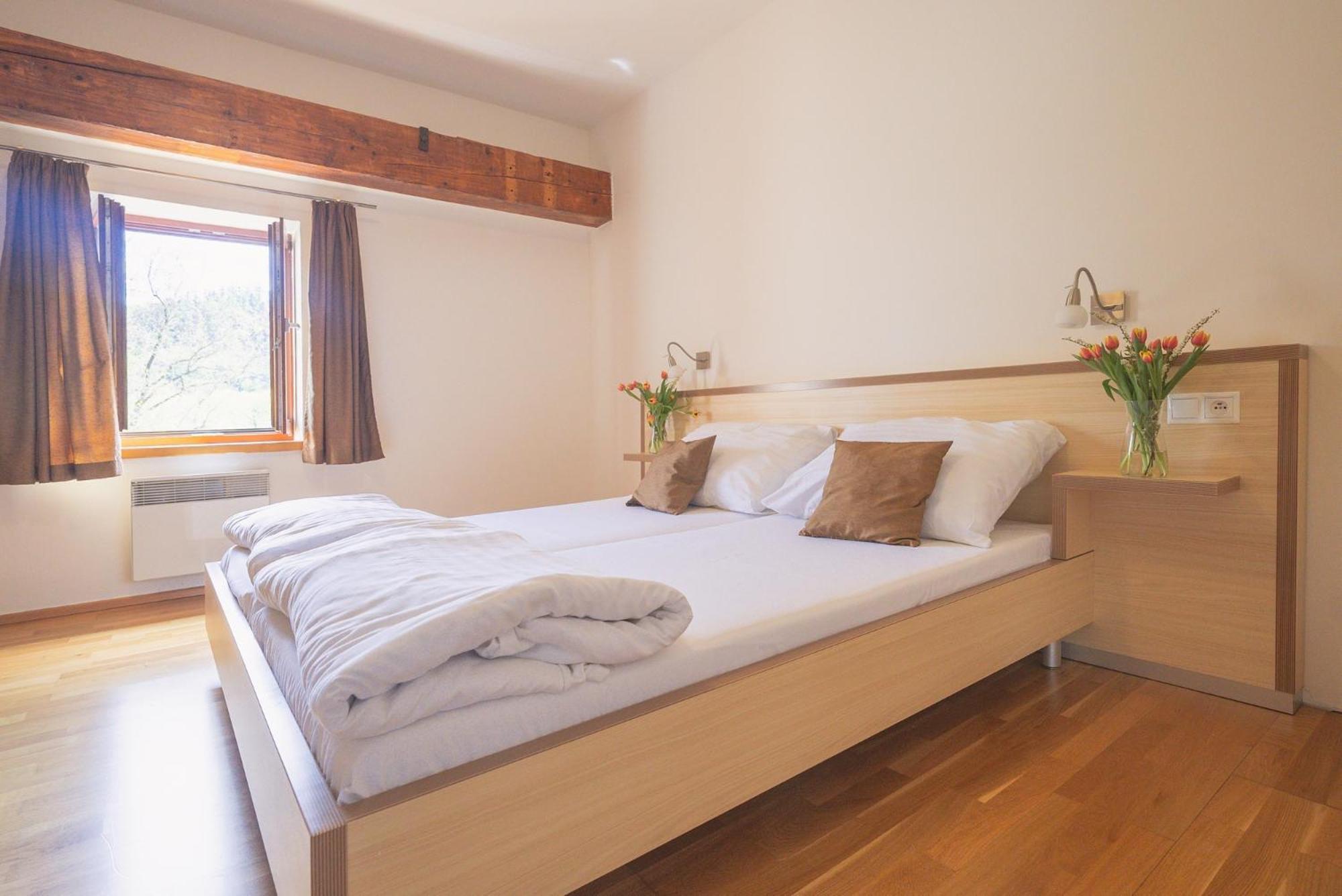 Hotel Daviduv Mlyn Staré Těchanovice Zewnętrze zdjęcie