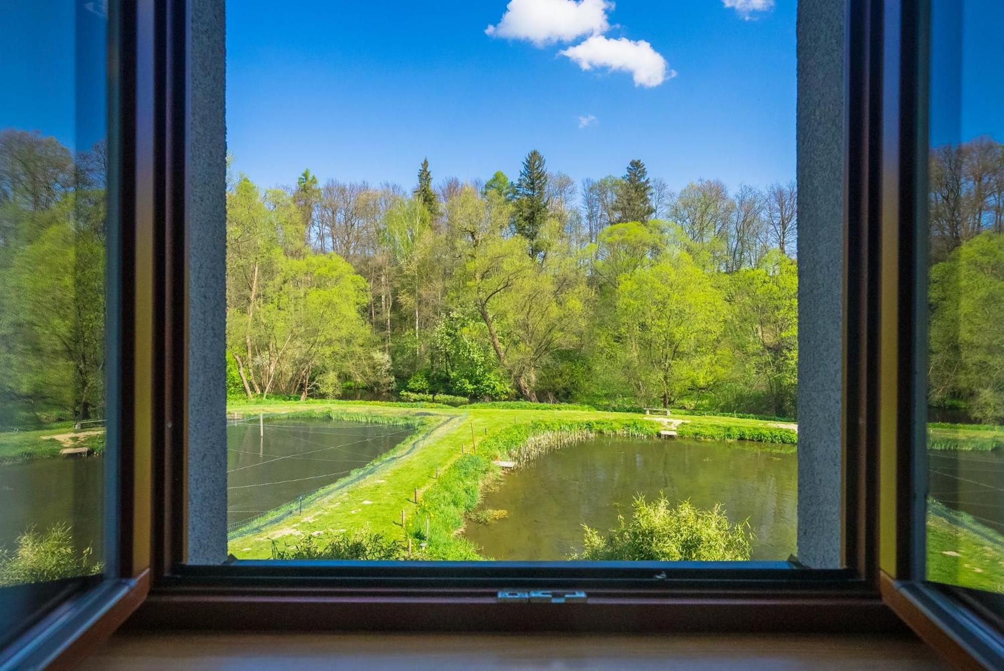 Hotel Daviduv Mlyn Staré Těchanovice Zewnętrze zdjęcie