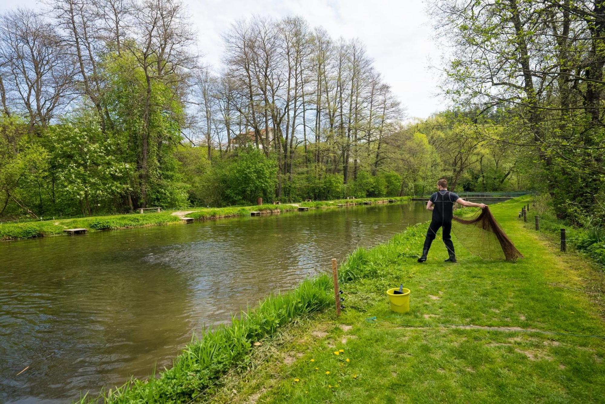 Hotel Daviduv Mlyn Staré Těchanovice Zewnętrze zdjęcie